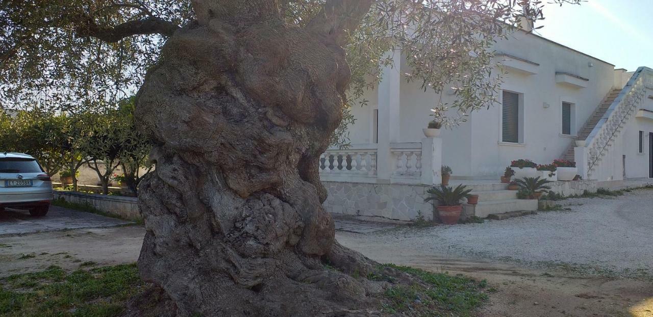Le Stanze Di Casa Polinisso Hostal Carovigno Exterior foto